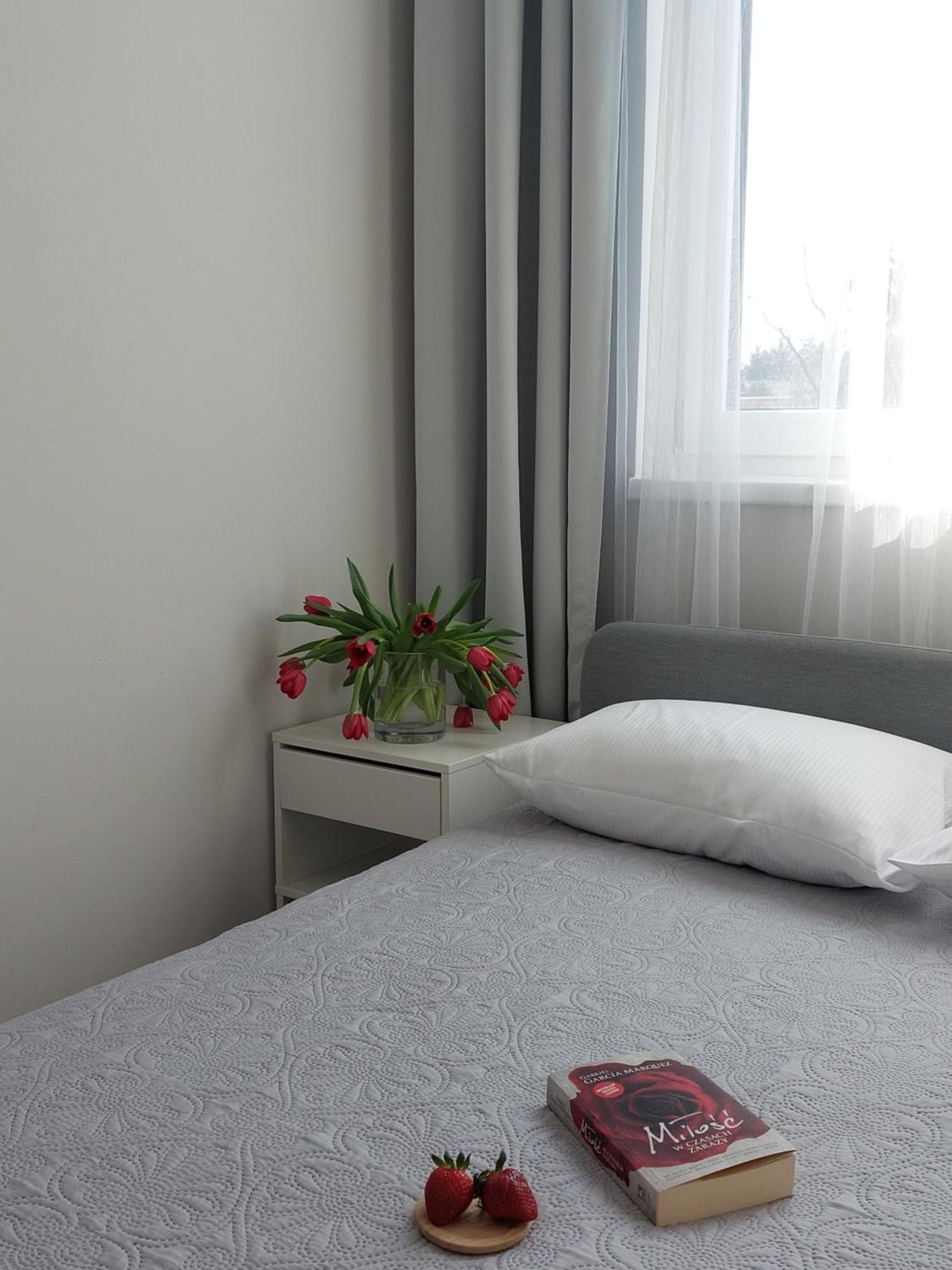 Mr Home Apartments - Limba Краков Экстерьер фото
